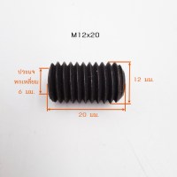 M12x20 วัดไซต์